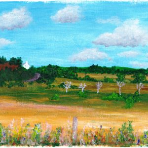 Outlands - Original Painting